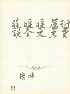 苏暖暖厉衍琛小说全文免费阅读封面