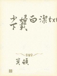 少妇白洁txt下载