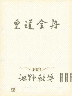 皇道金丹封面