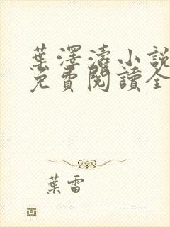 叶泽涛小说全文免费阅读全文封面