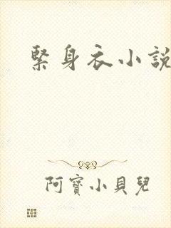 紧身衣小说