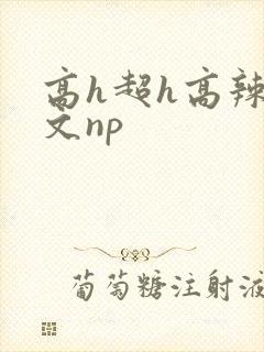 高h超h高辣h文np