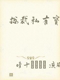总裁私有宝贝封面