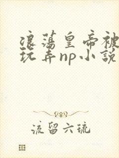 浪荡皇帝被多人玩弄np小说