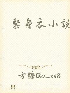 紧身衣小说