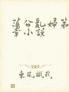 荡公乱妇第51章小说