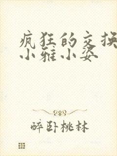 疯狂的交换小静小雅小姿