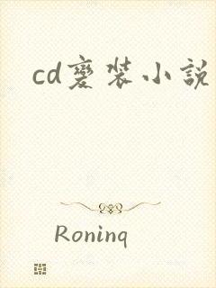 cd变装小说