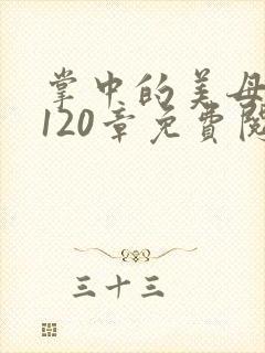 掌中的美母版主120章免费阅读