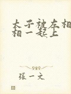 太子被左相和右相一起上