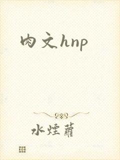 肉文hnp