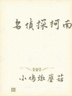 名侦探柯南h