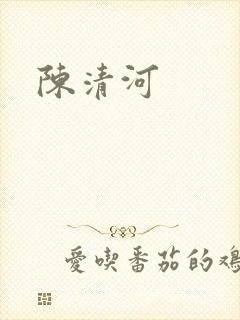 陈清河封面