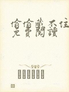 偷偷藏不住小说免费阅读