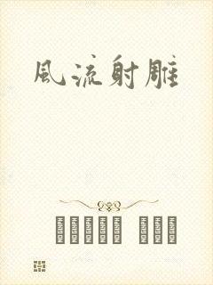 风流射雕封面