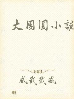 大团圆小说