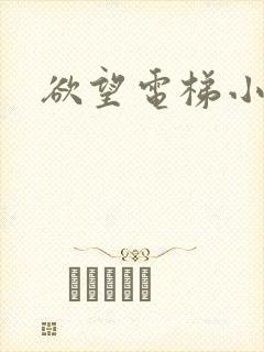 欲望电梯小说
