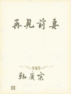 再见前妻