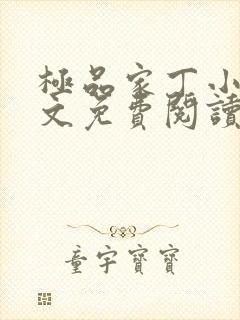 极品家丁小说全文免费阅读封面