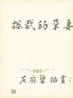 总裁的孕妻