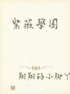 紫薇学园