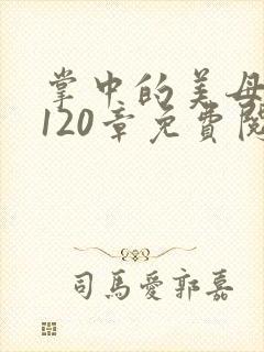 掌中的美母版主120章免费阅读