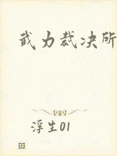 武力裁决所