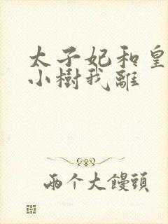 太子妃和皇上在小树我离封面