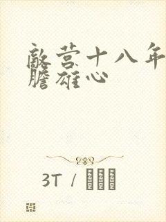 敌营十八年2虎胆雄心封面