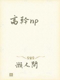 高干np封面