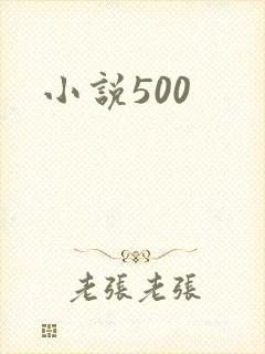 小说500