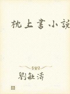 枕上书小说封面