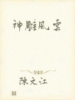 神雕风云