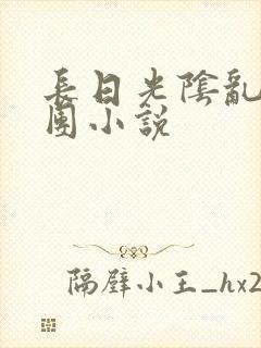 长日光阴乱作一团小说