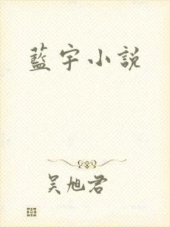 蓝宇小说封面