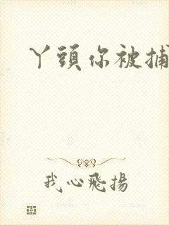 丫头你被捕了封面