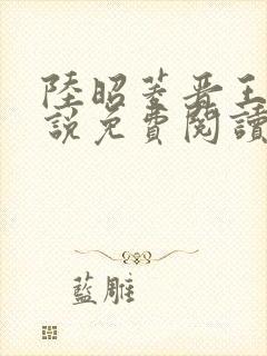 陆昭菱晋王的小说免费阅读封面