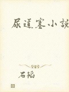 尿道塞小说