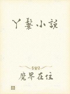 丫鬟小说