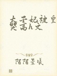太子妃被皇上c哭高h文封面