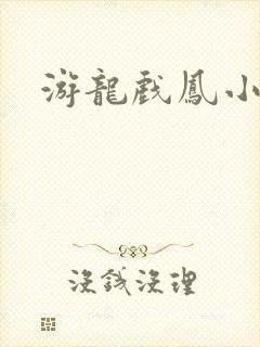 游龙戏凤小说