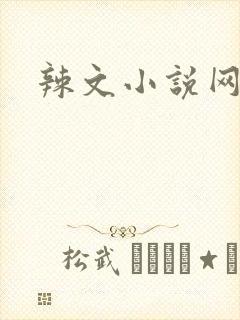 辣文小说网