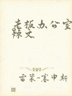 老板办公室系列辣文