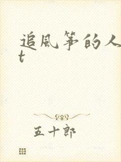 追风筝的人txt封面