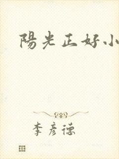 阳光正好小说