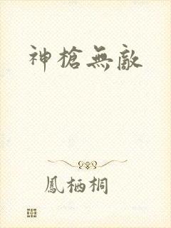 神枪无敌封面