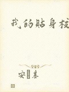 我的贴身校花封面