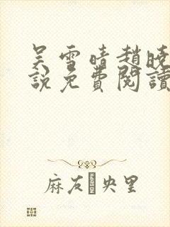 吴雪晴赵晓东小说免费阅读