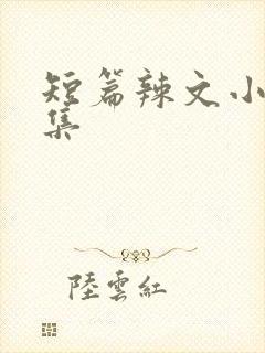 短篇辣文小说合集