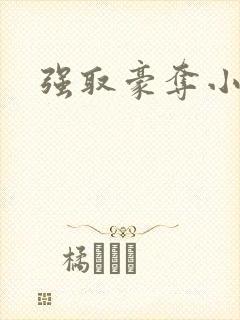 强取豪夺小说